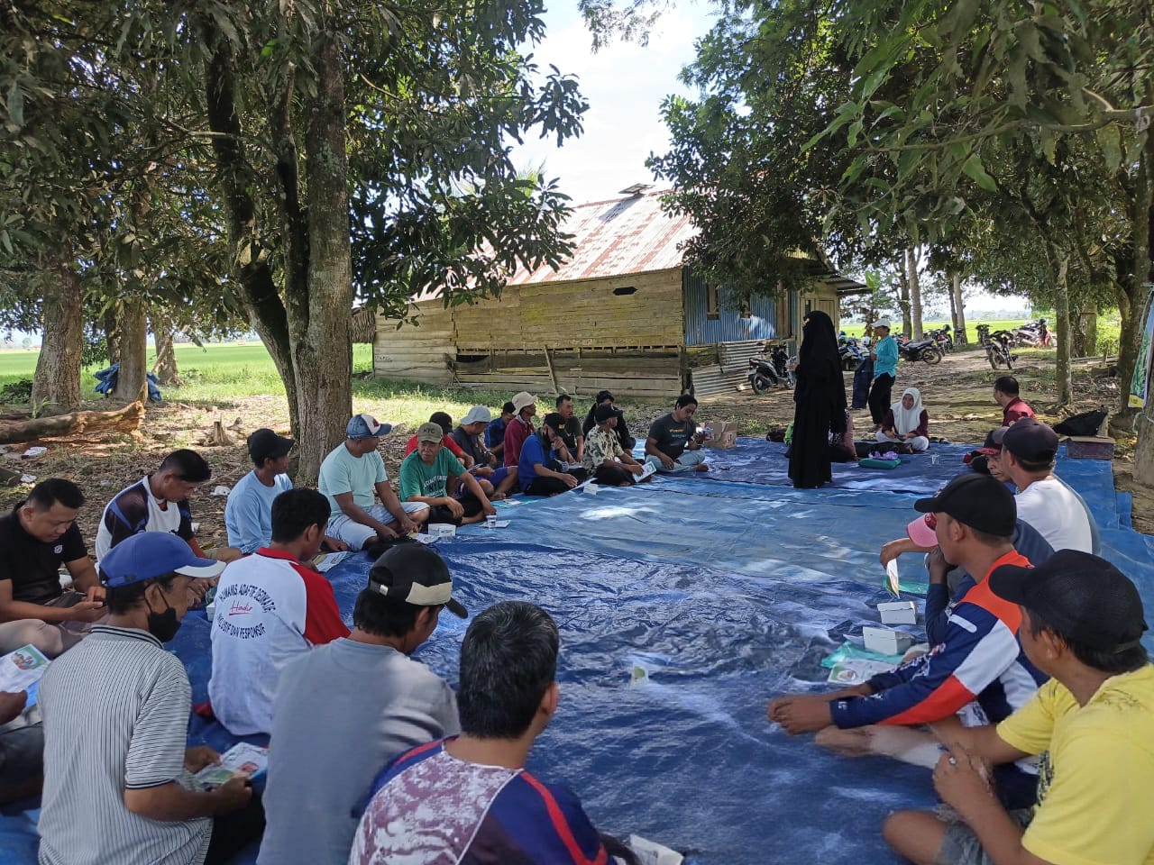 PANEN DAN PASCA PANEN PADI SAWAH