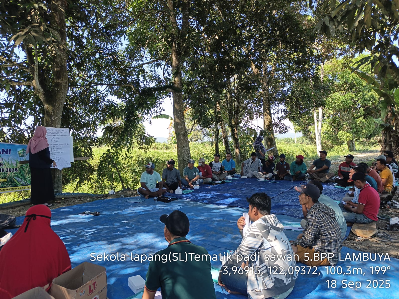 PEMUPUKAN PADI SAWAH