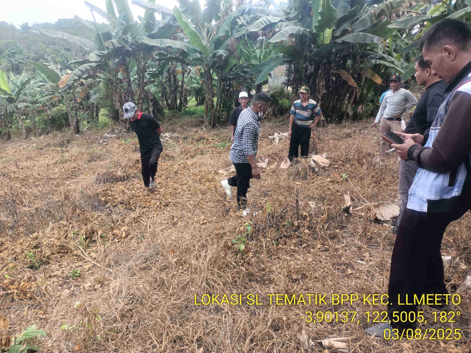 Persiapan Lahan Tanam Terong Bersama Penyuluh Pertanian Bersama Kelompok Tani