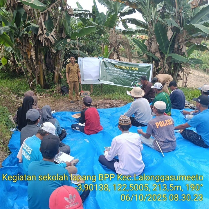 Kursus Tani Budidaya Tanaman Hortikultura Warnai Sekolah Lapang Tematik di Kecamatan Lalonggasu Meeto