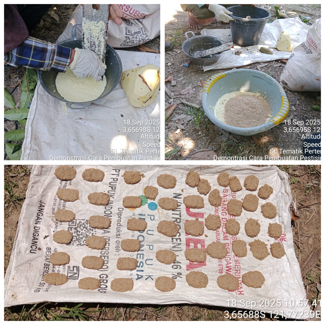 PEMBUATAN RACUN TIKUS ALAMI DARI UMBI GADUNG 