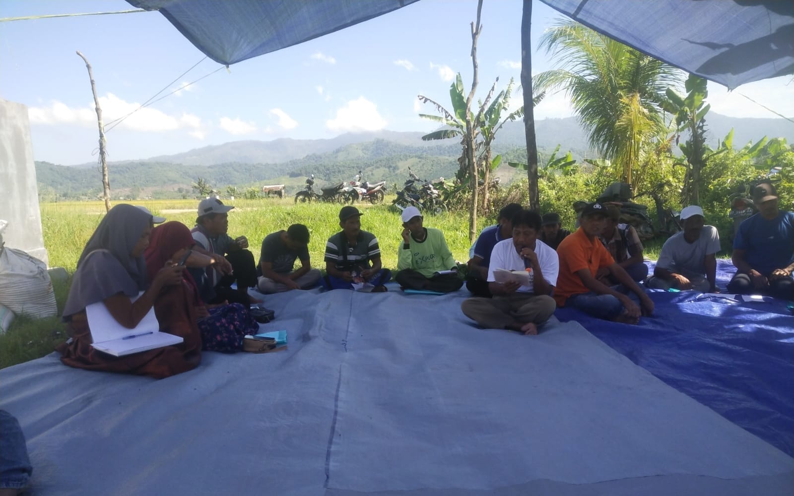 pengendalian Hama penggerek batang padi