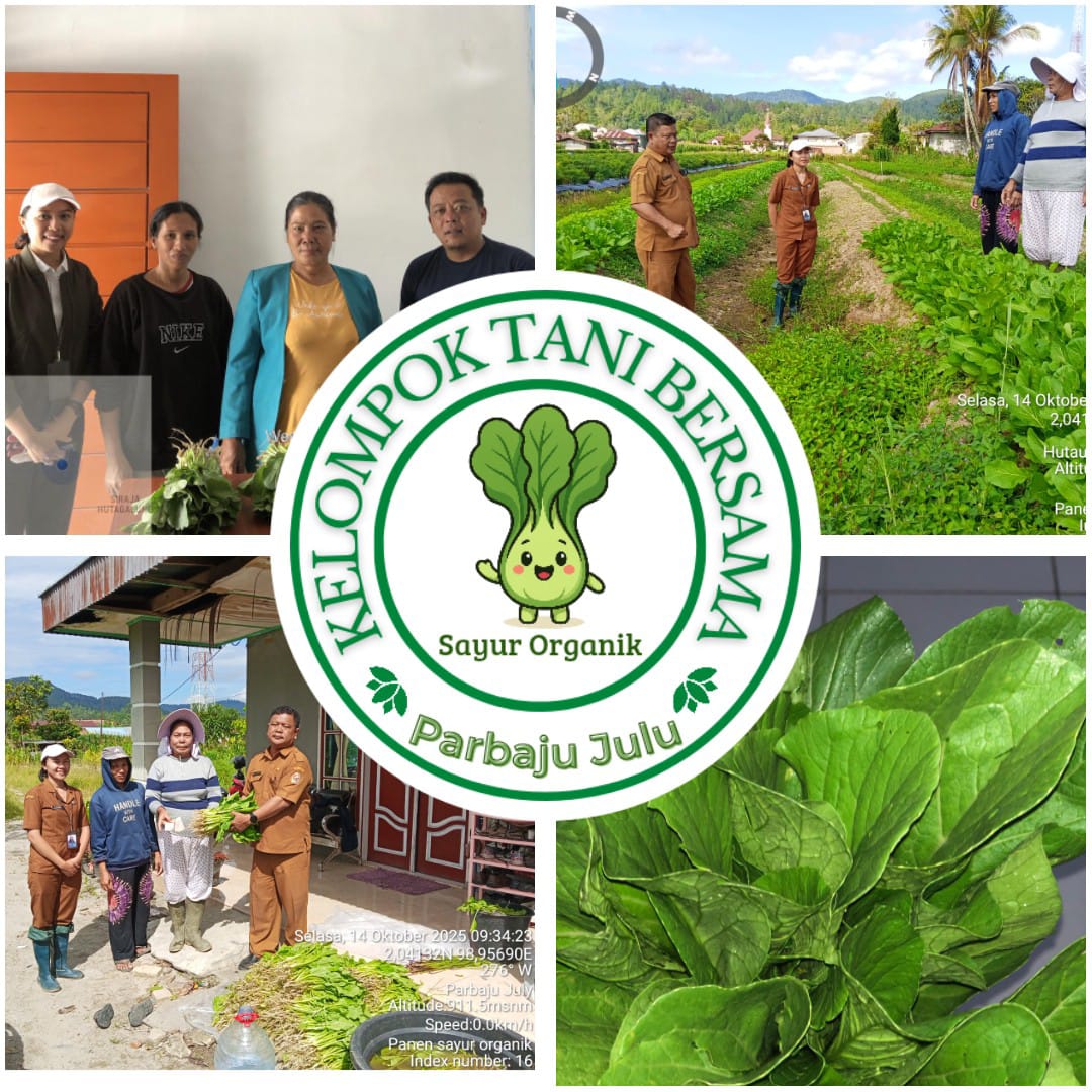 Budidaya Sayur Organik