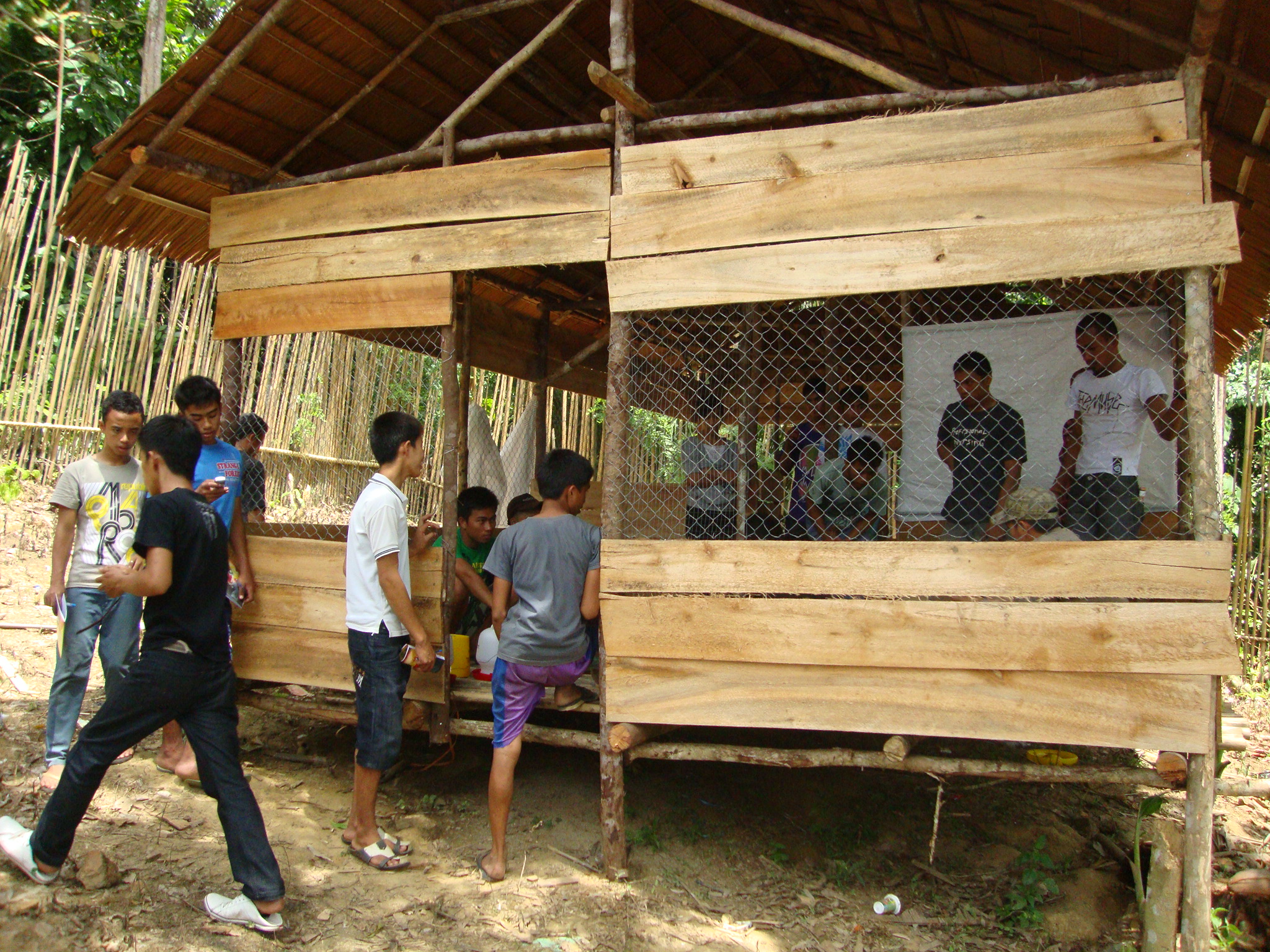 perkandangan ayam buras