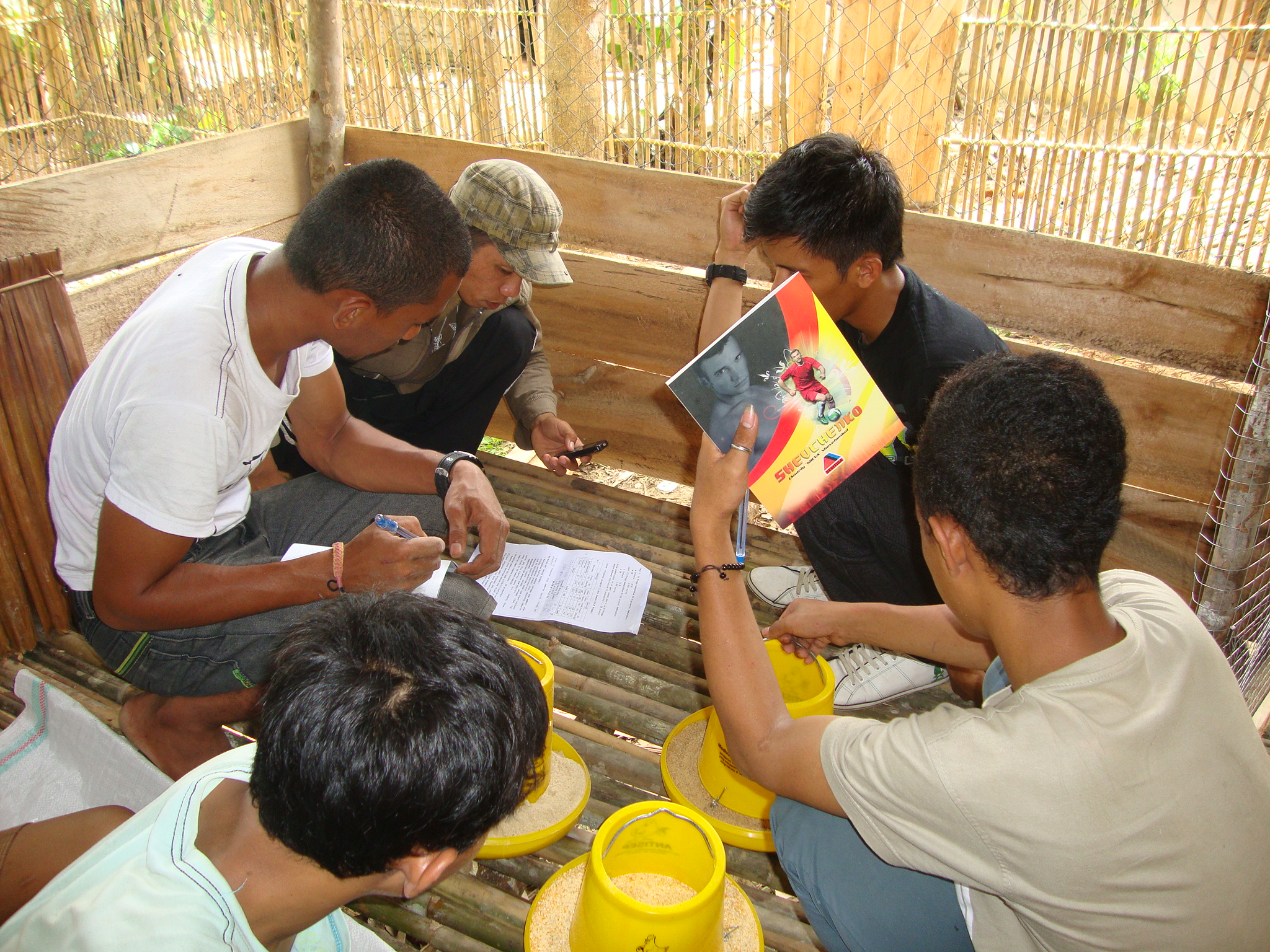 Penyusunan ransum ayam buras