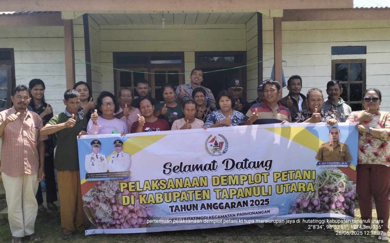 Budidaya Bawang Merah Varietas Batu Ijo