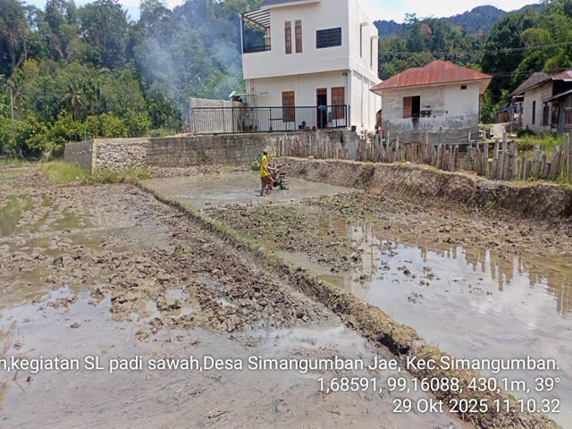 Teknik pengairan padi sawah