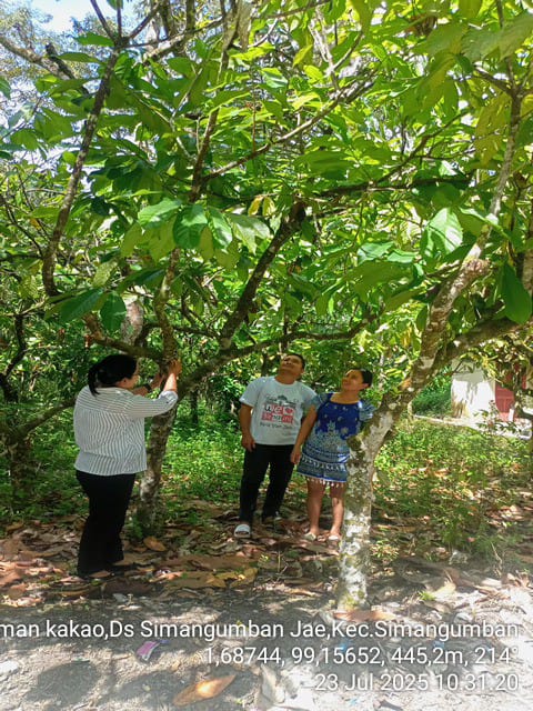 Hama dan penyakit tanaman kakao