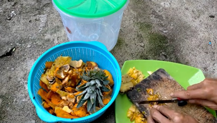 Pembuatan Pupuk  MOL