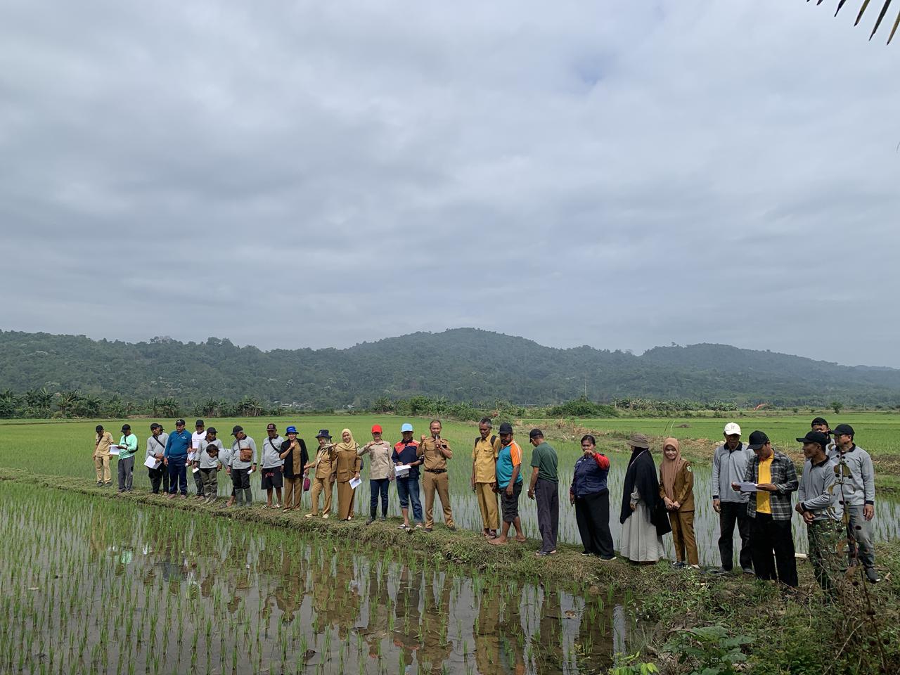 "Kemandirian Pangan Dimulai dari Sini: Menengok Geliat Sekolah Lapang Padi Sawah"