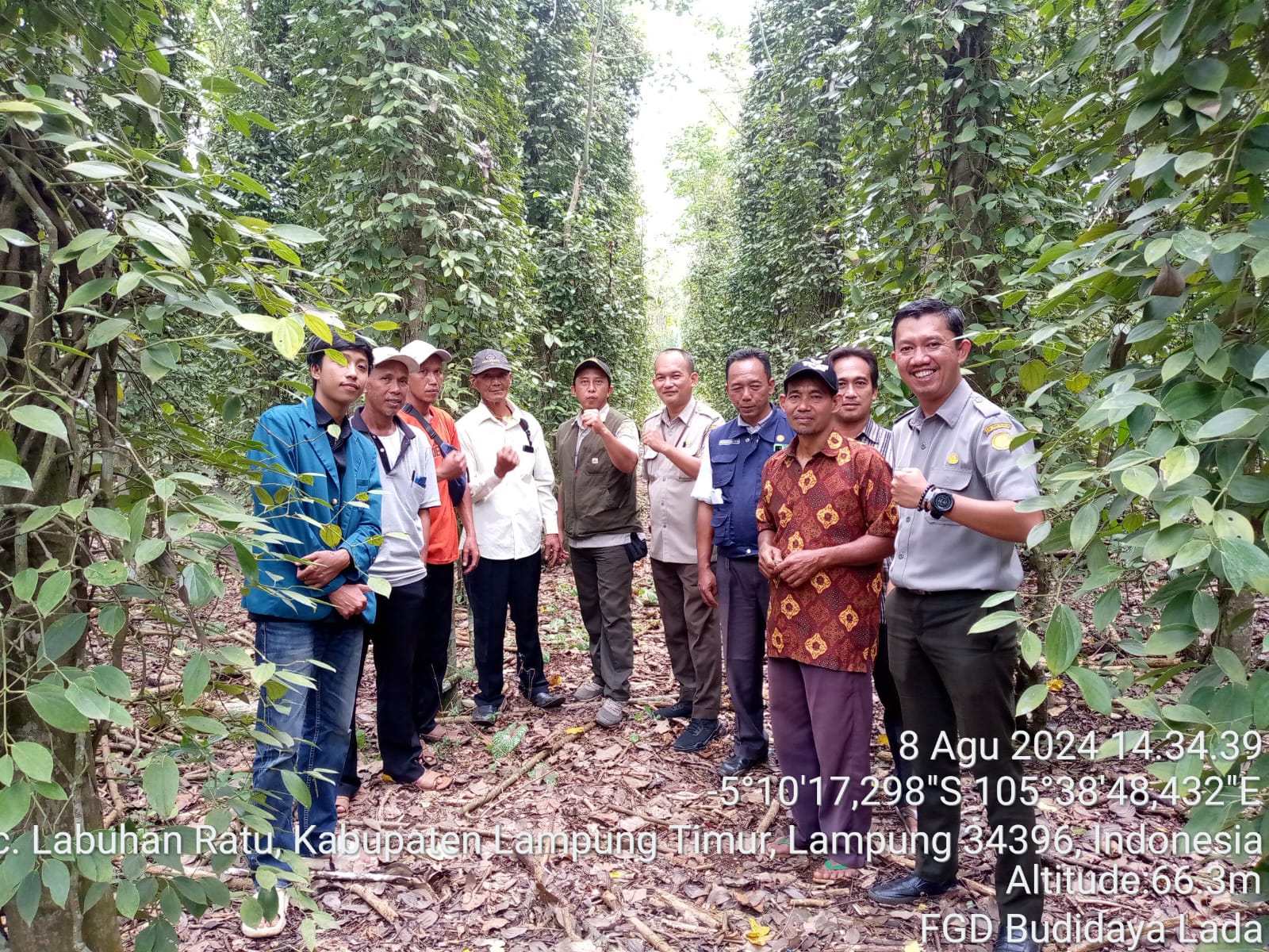 SNI 4 tahun 2025 tentang Produk Lada Putih