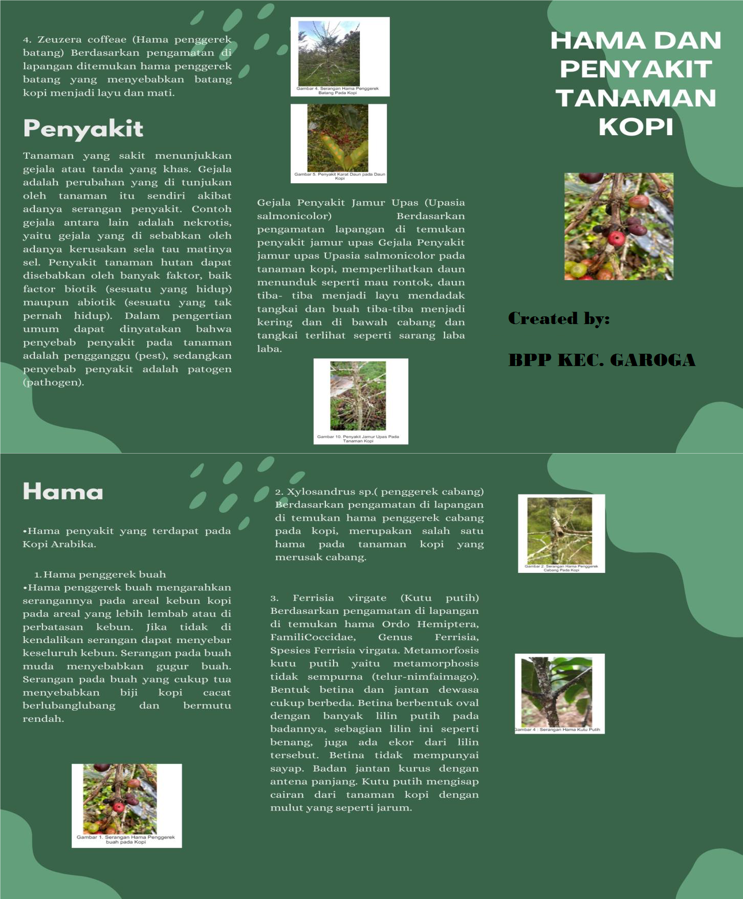 Hama dan Penyakit Tanaman Kopi-BPP Garoga2026