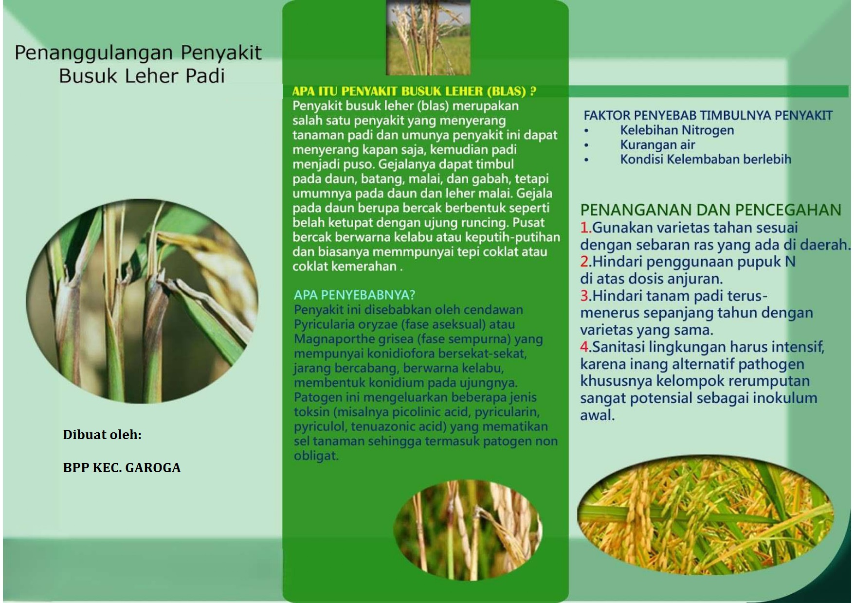 Pengendalian OPT Blas Padi-BPP Garoga2026