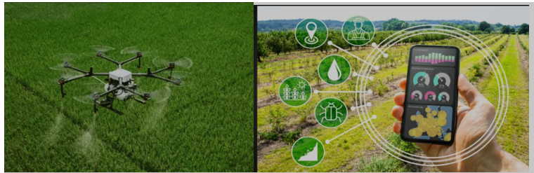 Optimalisasi Peran Penyuluh Pertanian dalam Penguatan Digitalisasi Pertanian Modern