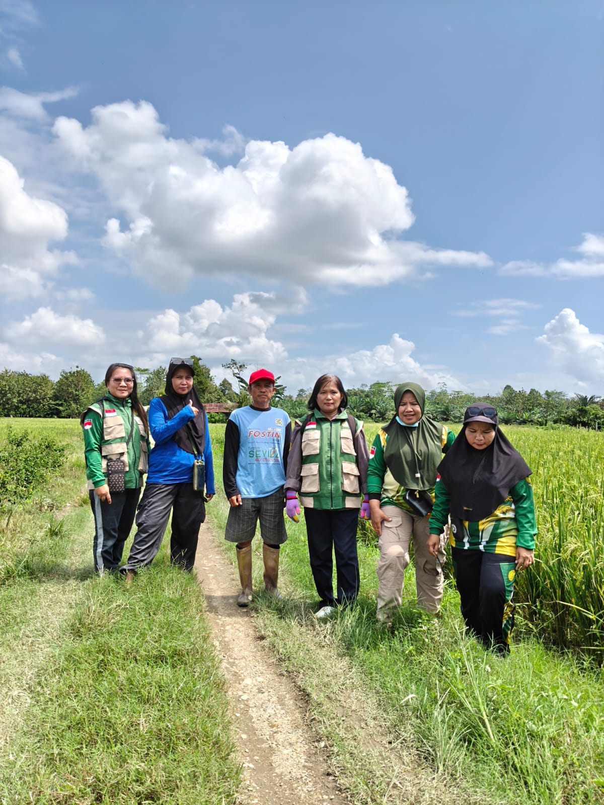 Kebutuhan Air Tanaman Padi  