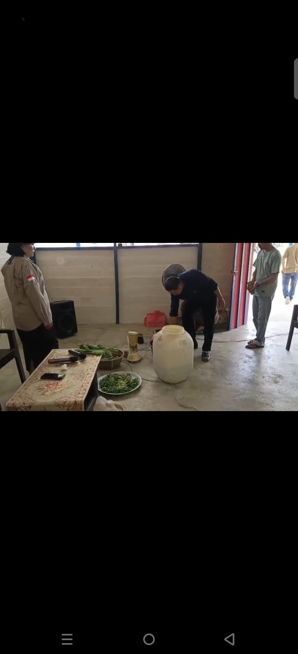 Pembuatan DOC Ayam Kampung