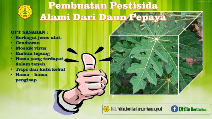 Pesnab Dari Daun Pepaya 