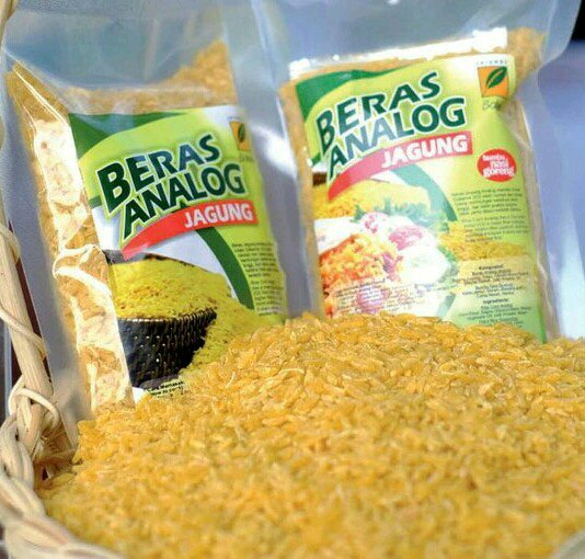 Mengenal dan Cara Menanam Jenggot Musa (Spanish Moss)