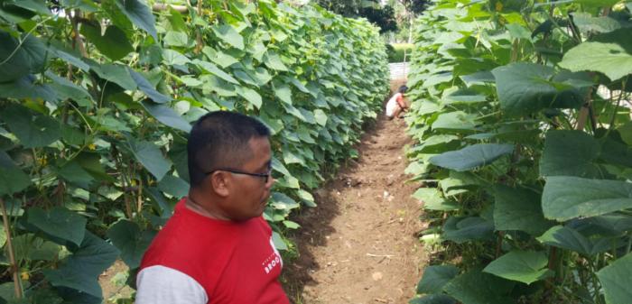 SOSIALISASIKAN KEBIJAKAN HORTIKULTURA 2023