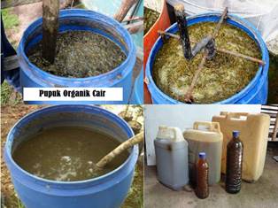 PEMBUATAN PUPUK ORGANIK CAIR (BIO SLURI )