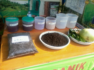 MEMANFAATKAN KOTORAN KELINCI UNTUK MEMBUAT PUPUK CAIR ORGANIK