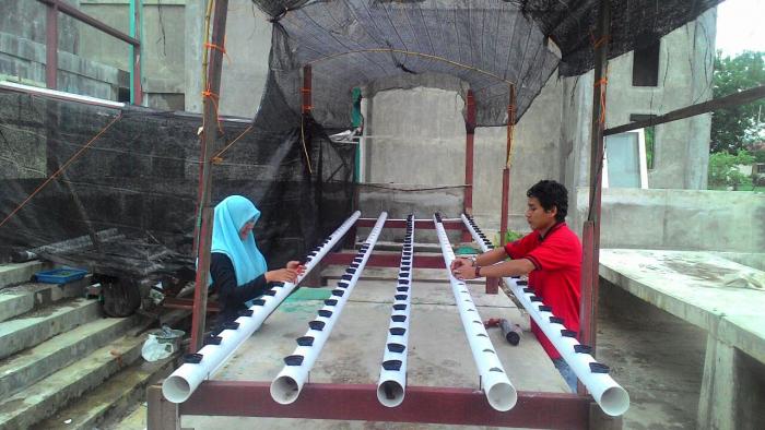 Penyuluh Latih Petani Tanam Hidroponik