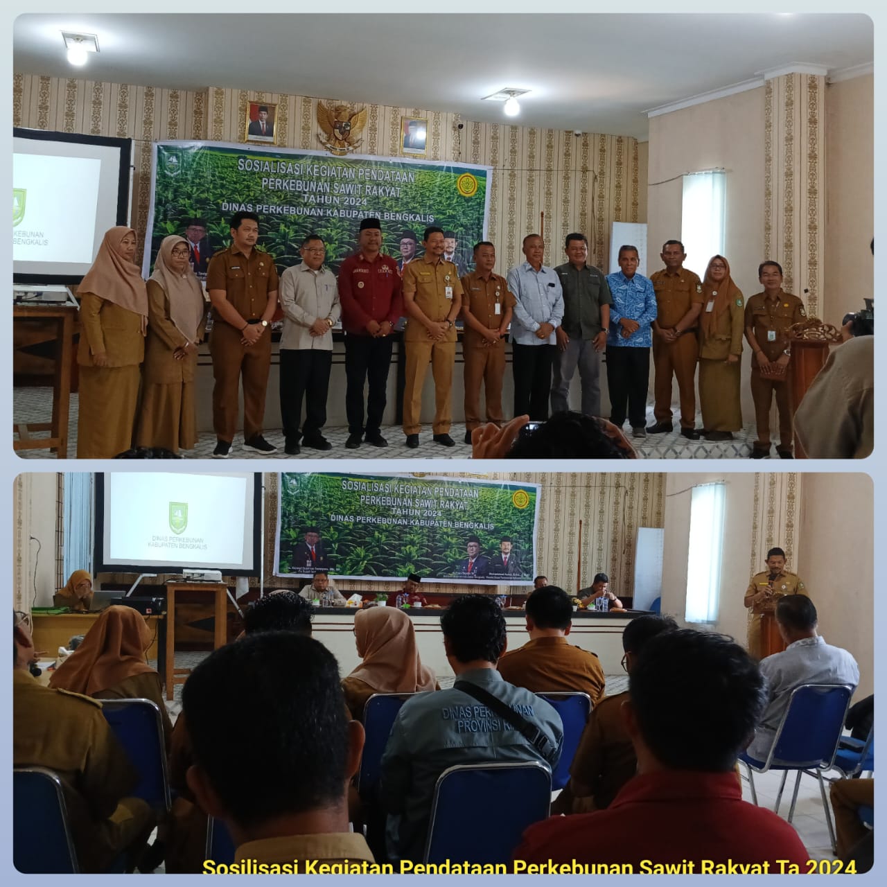 PENTINGNYA STDB BAGI PEKEBUN SAWIT