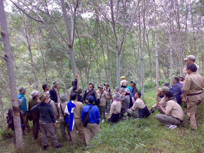 Pemupukan Berimbang Pada Tanaman Karet