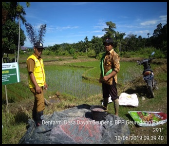 Demarm Padi di Desa Dayah Seupeng WKBPP Geureudong Pase