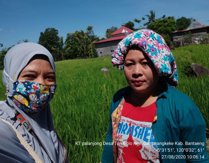 PEMANTAUAN PERTANAMAN PADI DI DUSUN PALANJONG DESA TOMBOLO KEC.GANTARANGKEKE KAB.BANTAENG