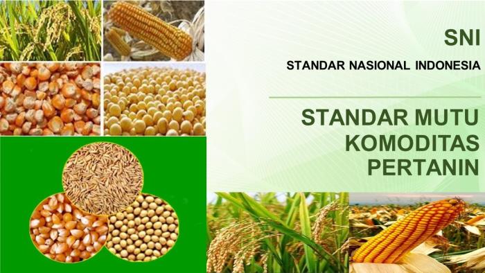 UPAYA MENJAGA KUALITAS DAN JAMINAN BAGI KONSUMEN DAN PRODUSEN MELALUI PENERAPAN STANDAR NASIONAL INDONESIA (SNI)