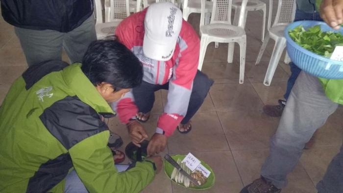 PENGGUNAAN PESTISIDA NABATI  DENGAN DAUN MIMBA UNTUK MENGENDALIAN ULAT DAUN PADA TANAMAN KUBIS