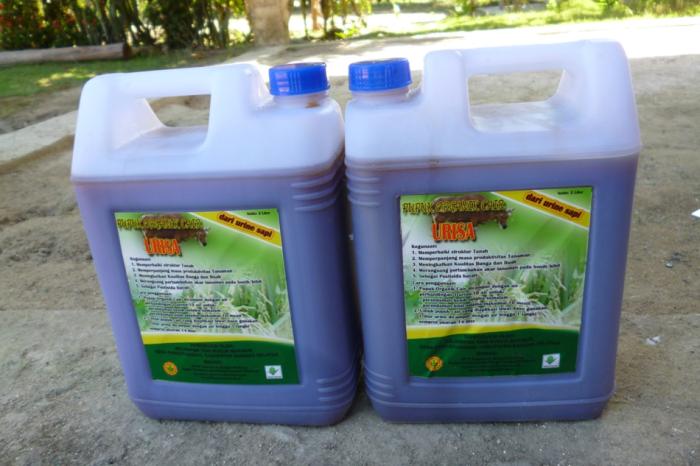 PEMBUATAN PUPUK ORGANIK CAIR (POC) DARI URINE SAPI