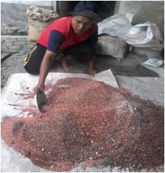 Peningkatan Produksi Dengan Pemupukan Berimbang