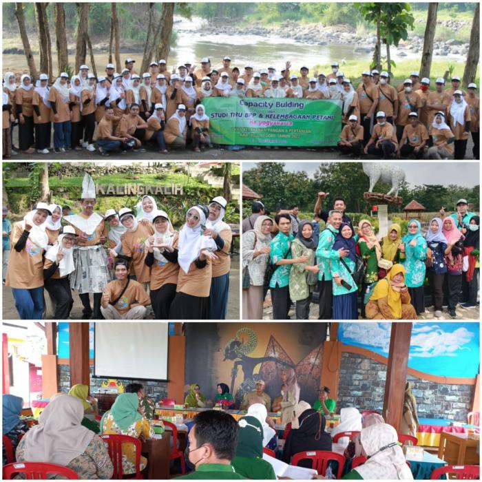 KEGIATAN CAPACITY BUILDING, STUDI TIRU BPP DAN KELEMBAGAAN PETANI KABUPATEN BOJONEGORO TAHUN 2022