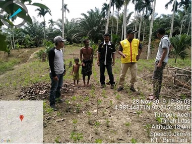 Penanaman Kacang Tanah di Poktan Bina Tani Kecamatan Tanah Luas
