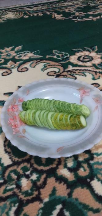 BUDIDAYA MENTIMUN
