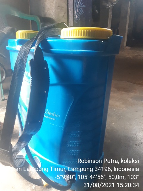 DAMPAK PESTISIDA SINTETIS DAN CARA MENURUNKAN RESIDUNYA