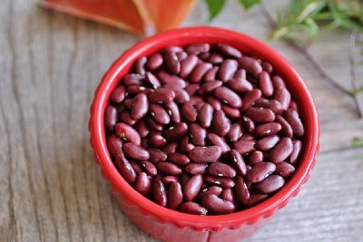 Budidaya Kacang Merah