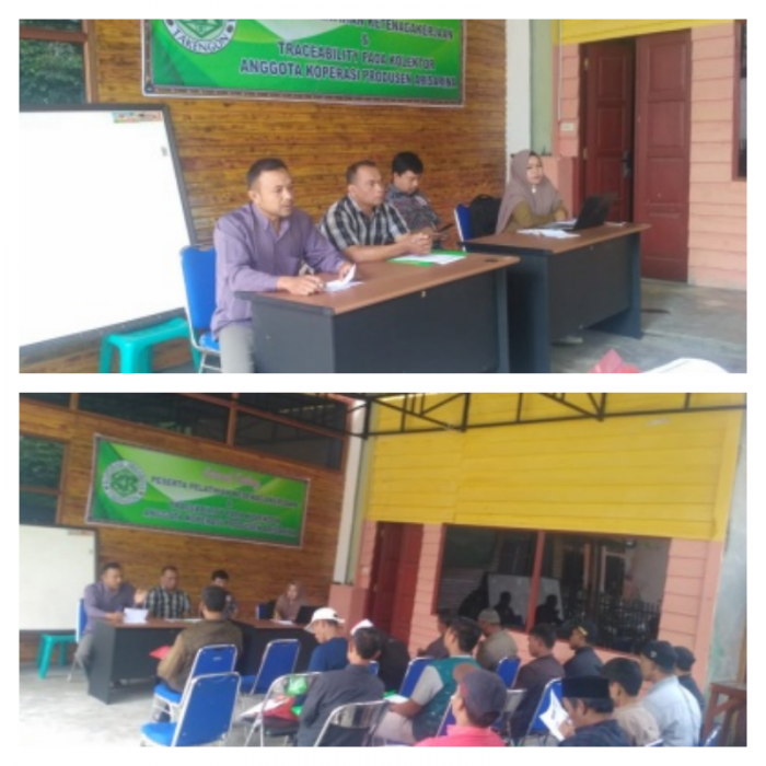   Kopi Organik  Dikumpul  Oleh  Kolektor Profesional