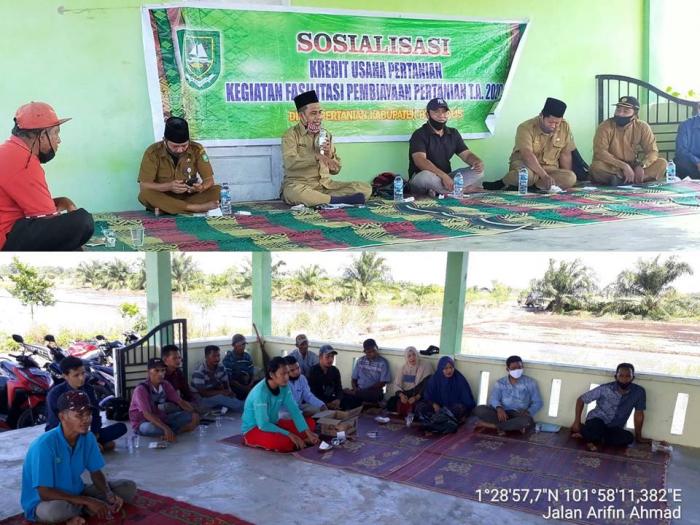 SOSIALISASI KREDIT USAHA PERTANIAN DIKECAMATAN BANDAR LAKSAMANA