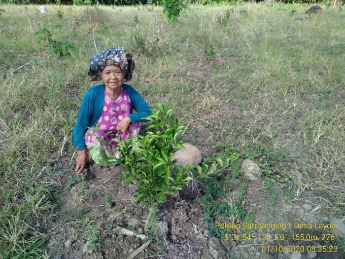 Kunjungan lapangan pada Lokasi Kelompok Tani Sarroanging I Desa Layoa Kec. Gantarangkeke Kab. Bantaeng