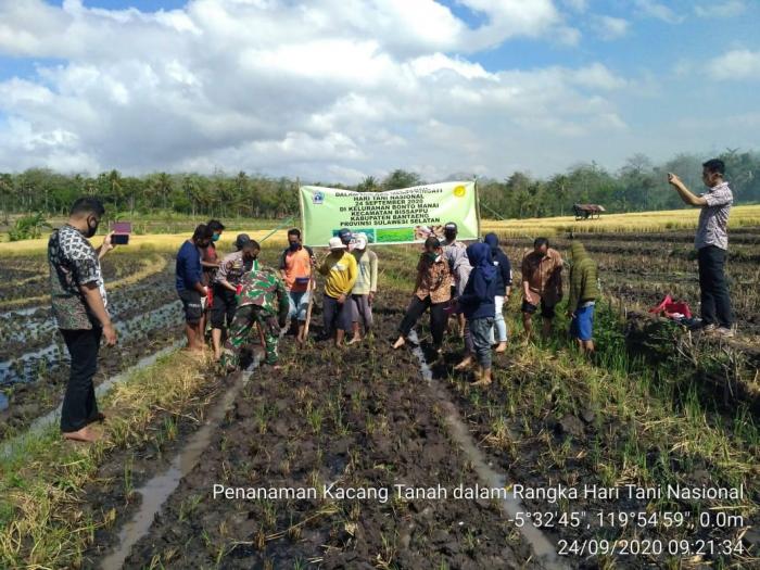 Gerakan Tanam Kacang Tanah Dalam Rangka Hari Tani Nasional