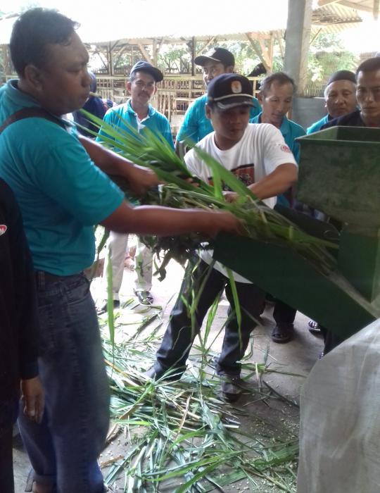 SILASE : TEKNIK MENJAGA KETERSEDIAAN PAKAN TERNAK