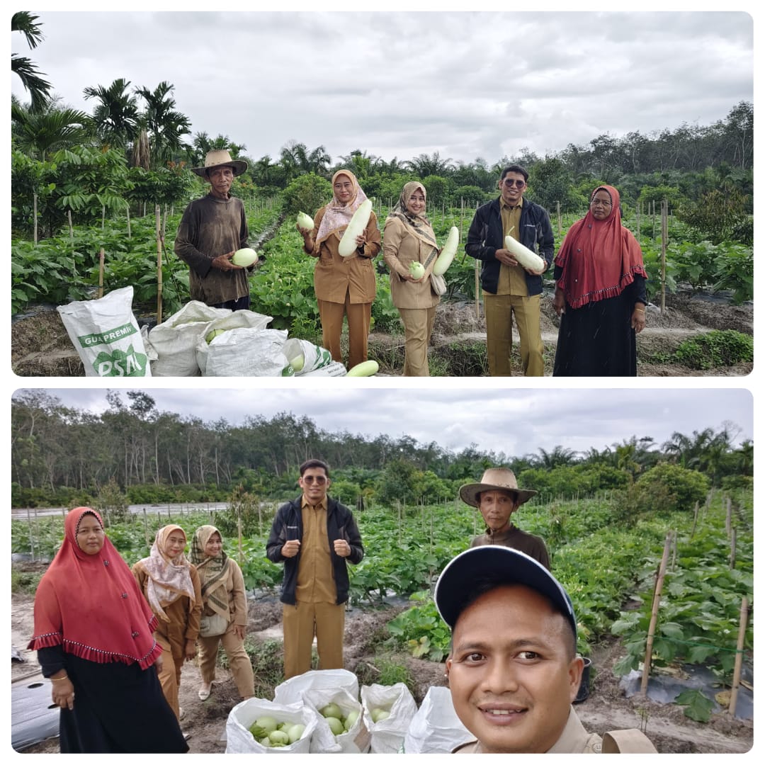 PANEN TERONG DAN LABU AIR DI POKTAN GERAK TANI