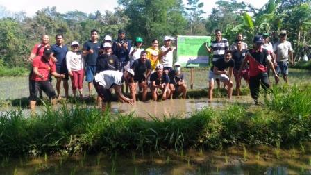 Kiat Kiat Bpp Banjarangkan Dalam Menerapkan  Tanam Padi Sistem Jajar Legowo 2:1 Bersama Kkn Universitas Udayana Bali