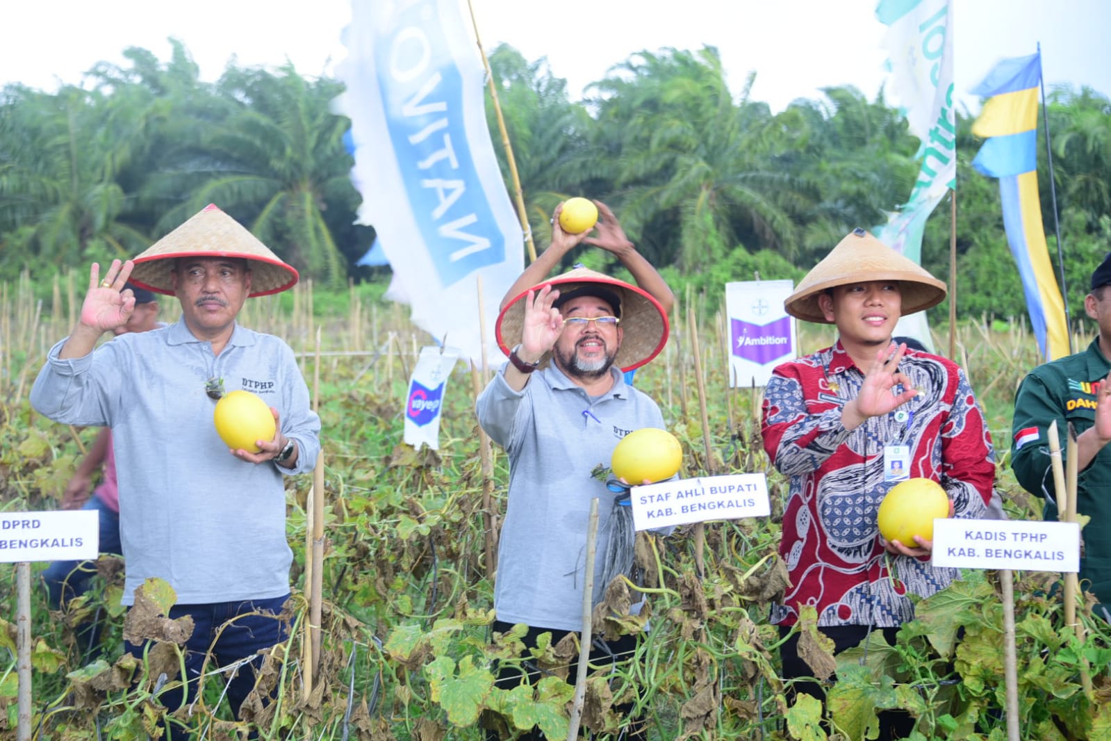 BPP Bukit Batu Menghadiri Kegiatan Panen Buah Melon