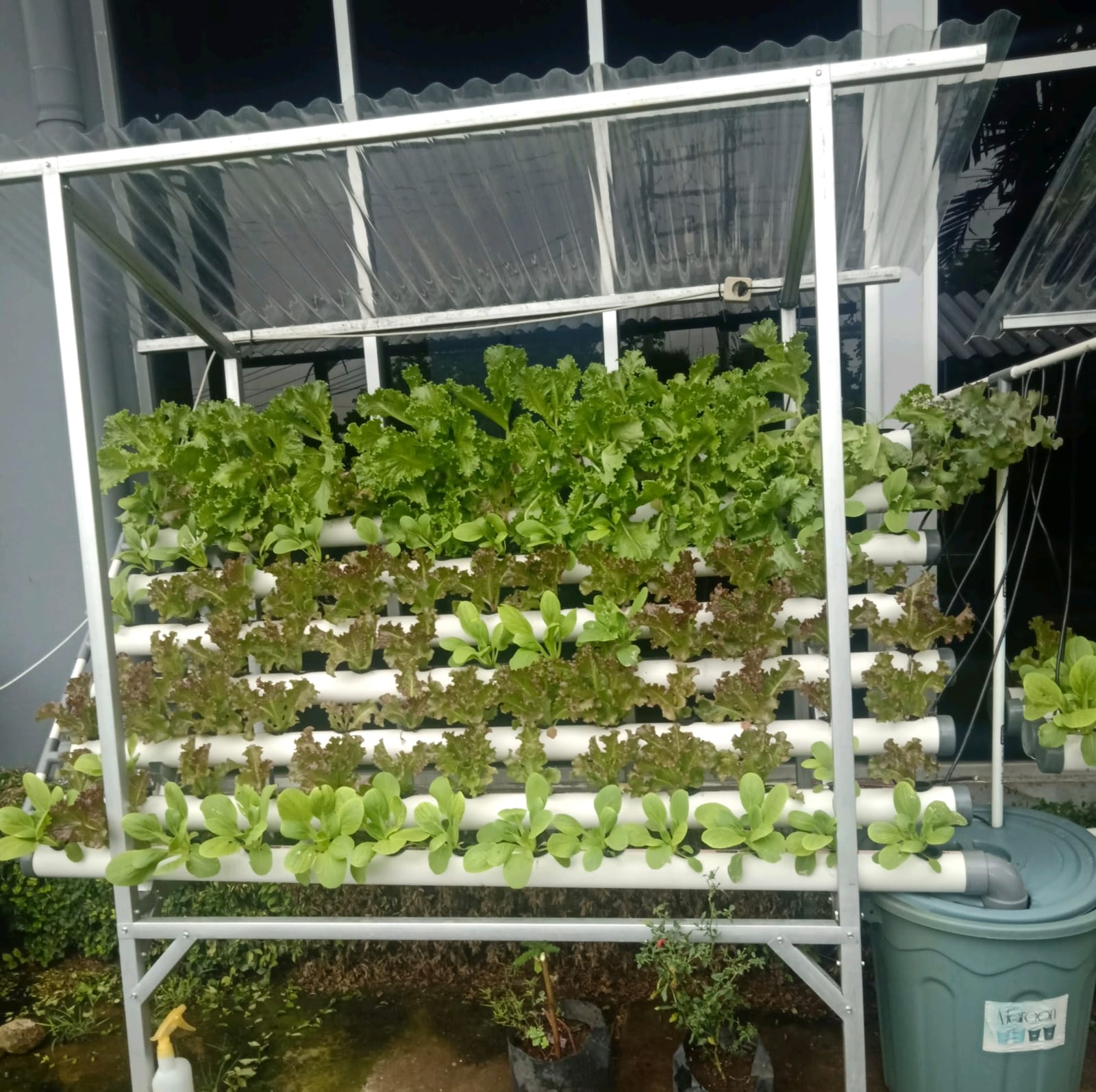 Standar Budidaya Sayuran Sistem Vertikultur