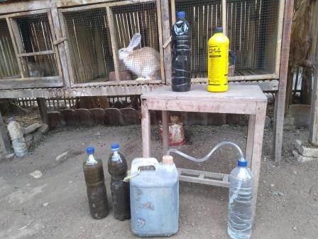 Pembuatan Pupuk Organik Cair (POC)  Dari Urine Kelinci