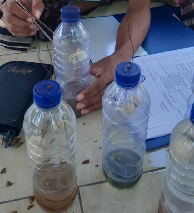 Pelatihan Pembuatan Prangkap Lalat Buah Bersama Tim Penggerak PKK Desa Langkat 